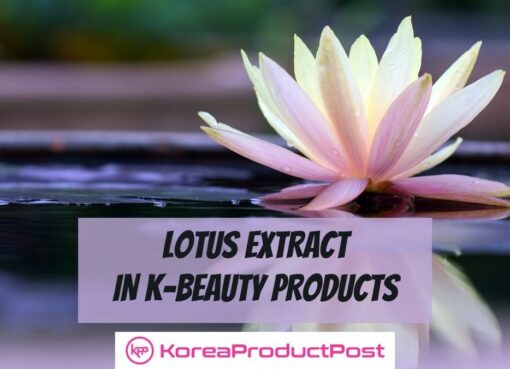 lotus extract