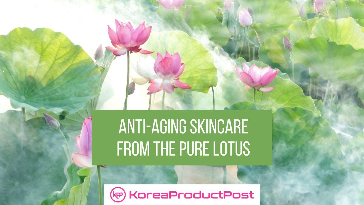 the pure lotus anti aging