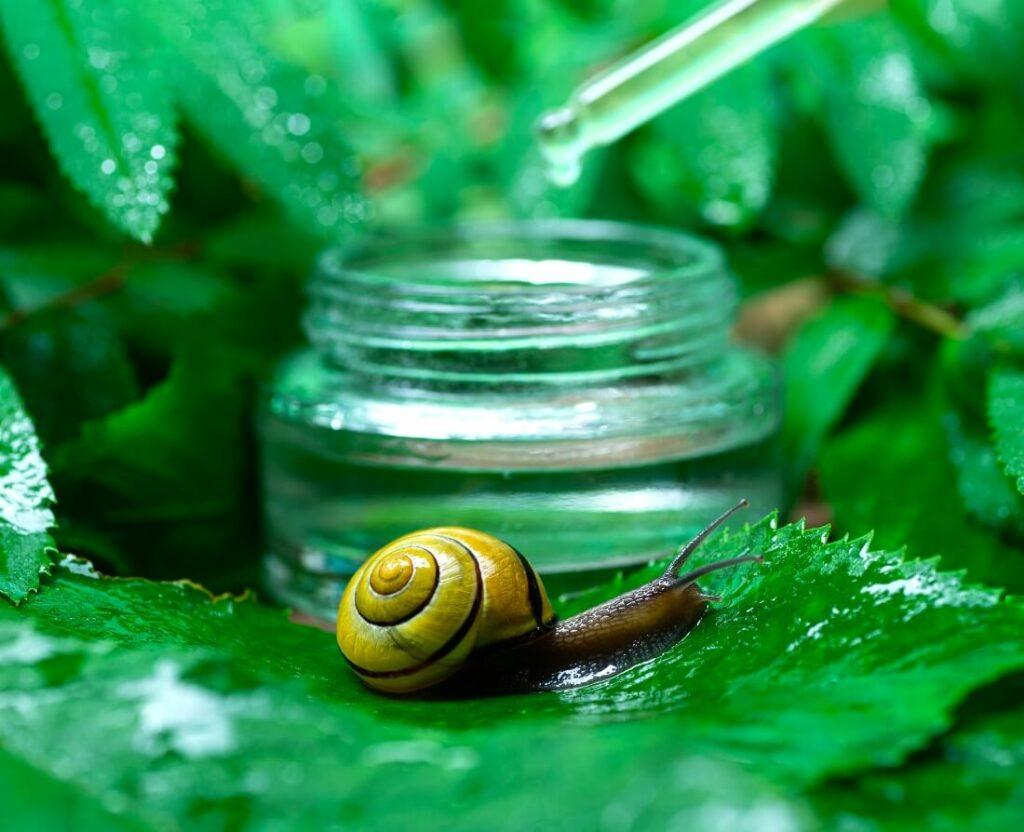 where does snail mucin come from