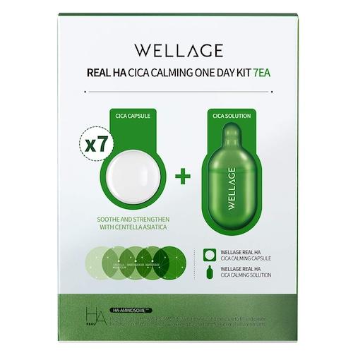 WELLAGE Real HA Cica Calming One Day Kit