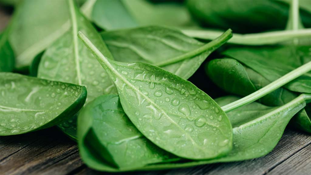 does spinach suppress appetite k-beauty rumors